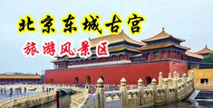 ‘真实偷拍村妇进城卖淫被操中国北京-东城古宫旅游风景区