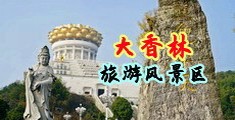 抠逼片毛中国浙江-绍兴大香林旅游风景区